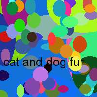 cat and dog fur