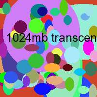 1024mb transcend secure digital card mlc